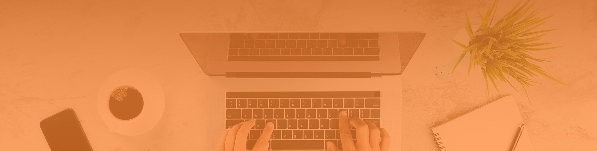 Blog Thú y & Thú cưng 4.0